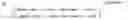 Fig. 11 - Method for determining properties of a medium and device for determining properties of a medium