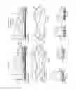 Fig. 32 - Adjustable height sole