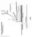Fig. 43 - Adjustable height sole