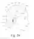 Fig. 30 - Wearable and mobile brain computer interface (BCI) device and method