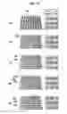 Fig. 12 - Tactile supply device