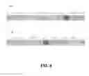 Fig. 04 - Bit remapping mechanism to enhance lossy compression in floating-point applications