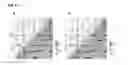 Fig. 06 - Method for large scale scaffolding of genome assemblies