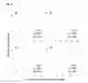 Fig. 09 - Method for large scale scaffolding of genome assemblies