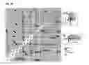 Fig. 35 - Method for large scale scaffolding of genome assemblies