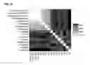 Fig. 41 - Method for large scale scaffolding of genome assemblies