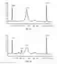 Fig. 19 - Method for improving the sensitivity of detection in determining copy number variations