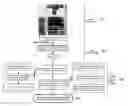 Fig. 01 - Systems, devices, and methods for detecting fertility and gender of unhatched non-incubated eggs