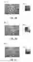 Fig. 04 - Using features at multiple scales for color transfer in augmented reality