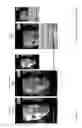 Fig. 19 - Augmented reality virtual content platform apparatuses, methods and systems