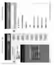 Fig. 44 - Augmented reality virtual content platform apparatuses, methods and systems