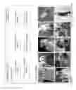 Fig. 52 - Augmented reality virtual content platform apparatuses, methods and systems