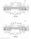 Fig. 07 - Interposer substrate, semiconductor structure and fabricating process thereof