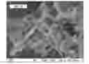 Fig. 01 - High-performance cathode materials for lithium sulfur batteries from lignosulfonate