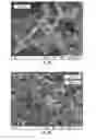 Fig. 03 - High-performance cathode materials for lithium sulfur batteries from lignosulfonate