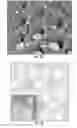 Fig. 06 - High-performance cathode materials for lithium sulfur batteries from lignosulfonate