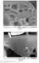 Fig. 11 - High-performance cathode materials for lithium sulfur batteries from lignosulfonate