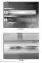 Fig. 19 - High-performance cathode materials for lithium sulfur batteries from lignosulfonate