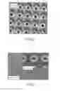Fig. 04 - Microstructured substrate