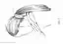 Fig. 10 - Hairstyle enhancing accessory