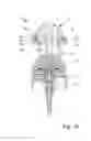 Fig. 11 - Manually operated pump with a first actuation element