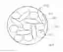 Fig. 05 - Head for an oral-care implement and oral-care implement