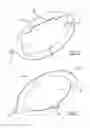 Fig. 05 - Dish assembly for displaying an image
