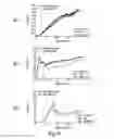 Fig. 18 - Medical apparatus and its visualisation