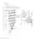 Fig. 02 - Implantable surgical screw for bone reconstruction