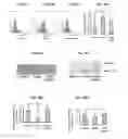 Fig. 09 - Pharmaceutical formulations containing mitochondrially targeted antioxidants