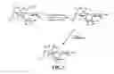 Fig. 06 - METHODS AND COMPOSITIONS FOR TREATING AND/OR PREVENTING MUCOSITIS