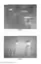 Fig. 02 - Anti-inflammatory composition for aiding and promoting the healing of chronic ulcerative lesions