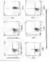 Fig. 03 - MULTIPOTENT STEM CELLS AND USES THEREOF