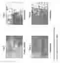 Fig. 08 - MULTIPOTENT STEM CELLS AND USES THEREOF