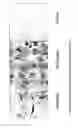 Fig. 10 - MULTIPOTENT STEM CELLS AND USES THEREOF