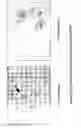Fig. 13 - MULTIPOTENT STEM CELLS AND USES THEREOF