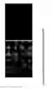 Fig. 15 - MULTIPOTENT STEM CELLS AND USES THEREOF