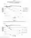 Fig. 07 - LIQUID INSULIN FORMULATIONS AND METHODS RELATING THERETO