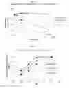Fig. 08 - LIQUID INSULIN FORMULATIONS AND METHODS RELATING THERETO