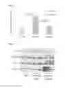 Fig. 04 - METHODS AND COMPOSITIONS FOR INCREASING HEPCIDIN EXPESSION USING MODIFIED IRON BINDING/RELEASING TRANSFERRIN