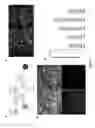 Fig. 02 - Methods of mammalian retinal stem cell production and applications