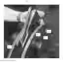 Fig. 01 - Multi-connector hammer