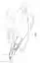 Fig. 03 - Extendable and Retractable Snowmobile Bumper