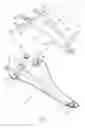 Fig. 07 - BICYCLE SEAT ASSEMBLY