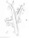 Fig. 02 - Shock absorber assembly for power drive unit of a vehicle