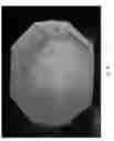 Fig. 19 - Instant set-up bulk container