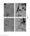 Fig. 09 - Methods and systems for producing carbon aerogel