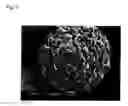 Fig. 07 - Transition metal composite hydroxide capable of serving as precursor of positive electrode active material for nonaqueous electrolyte secondary batteries