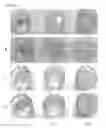 Fig. 02 - Composition and methods of use