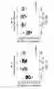 Fig. 08 - Peptides and compositions for treatment of joint damage